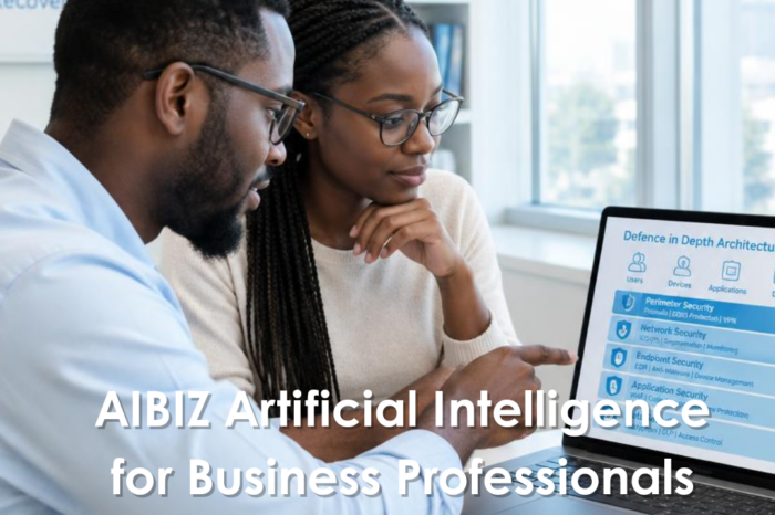 AIBIZ Artificial Intelligence for Business Professionals