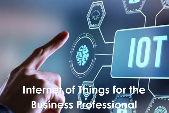 Internet of Things for the Business Professional